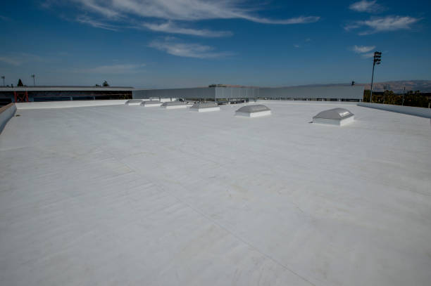 Best Roof Leak Repair  in Mmaduke, AR